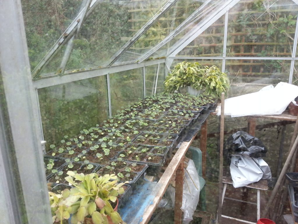 Derby Road Oasis, Swanwick, Alfreton