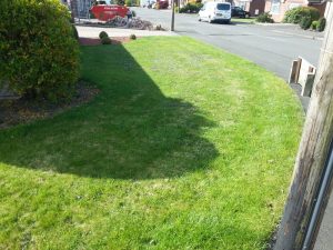 How often should I scarify?